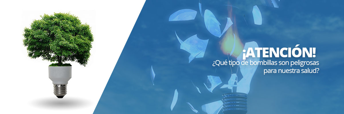 ¡Atención! ¿Qué tipo de bombillas son peligrosas para nuestra salud?